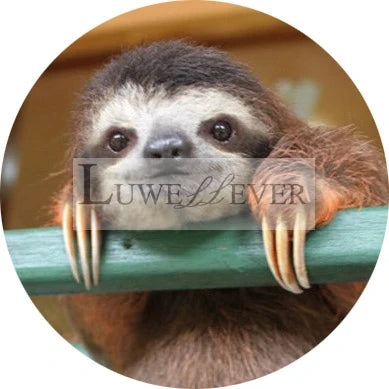 Cute Sloth Mix Round Glass Cabochon Buttons