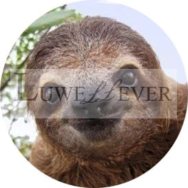 Cute Sloth Mix Round Glass Cabochon Buttons