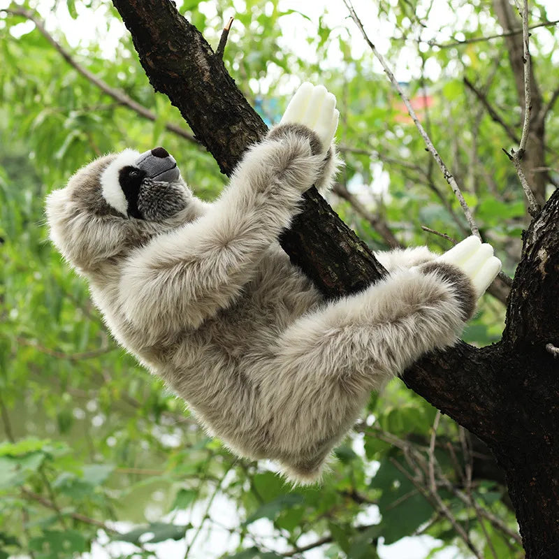 Three Toed Sloth Cuddly Toy