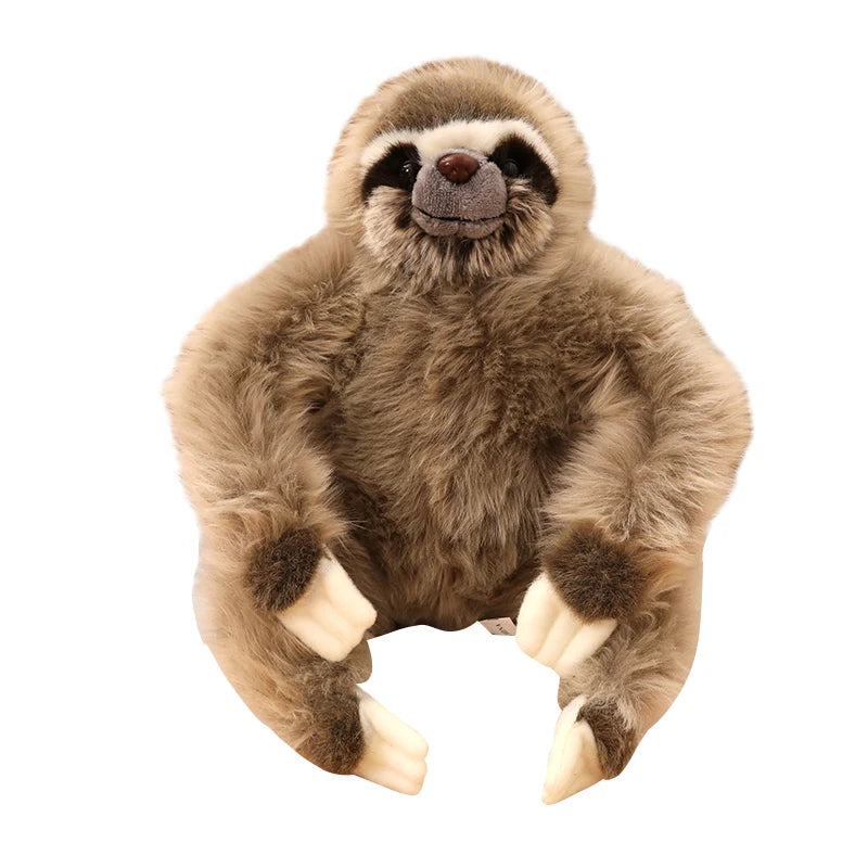 Three Toed Sloth Cuddly Toy