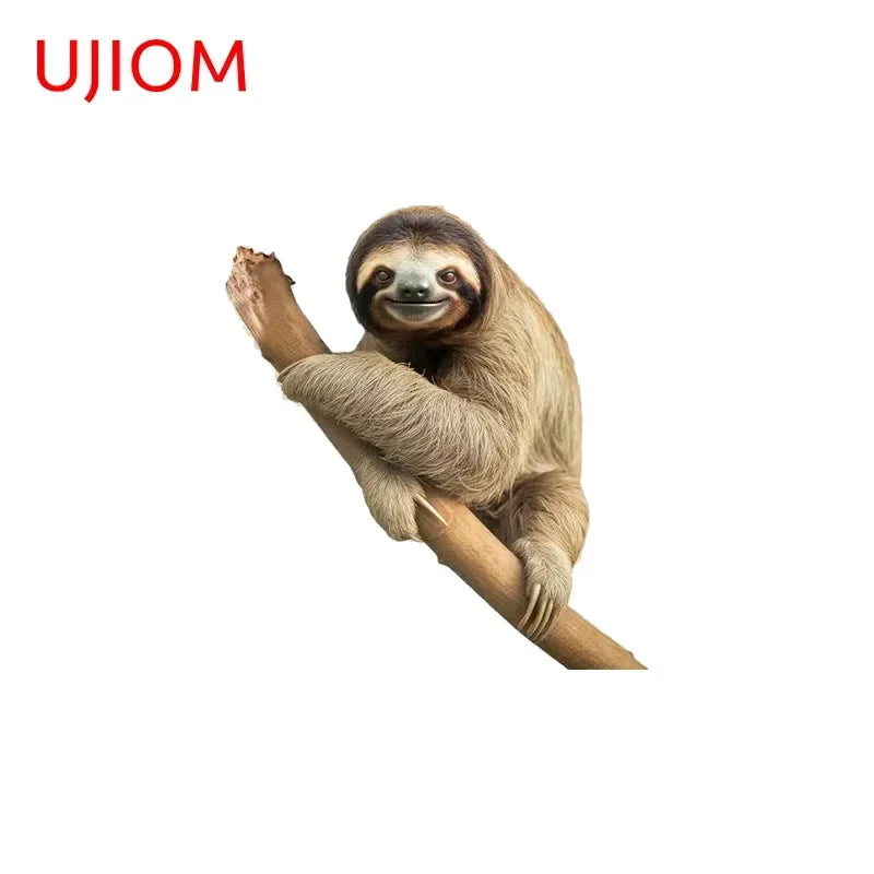Peeking Sloth Sticker