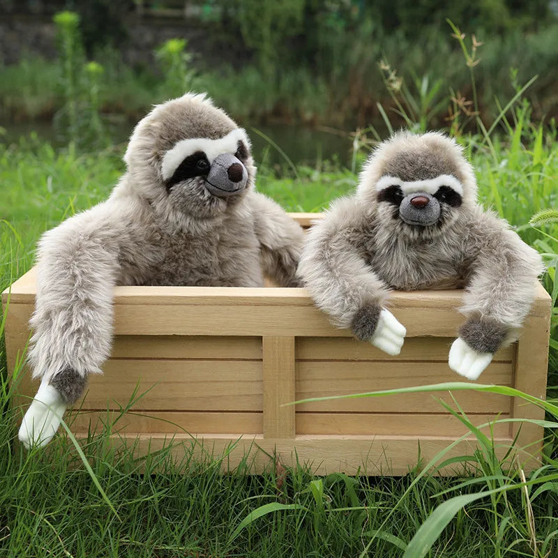 Sloth Plush Toy