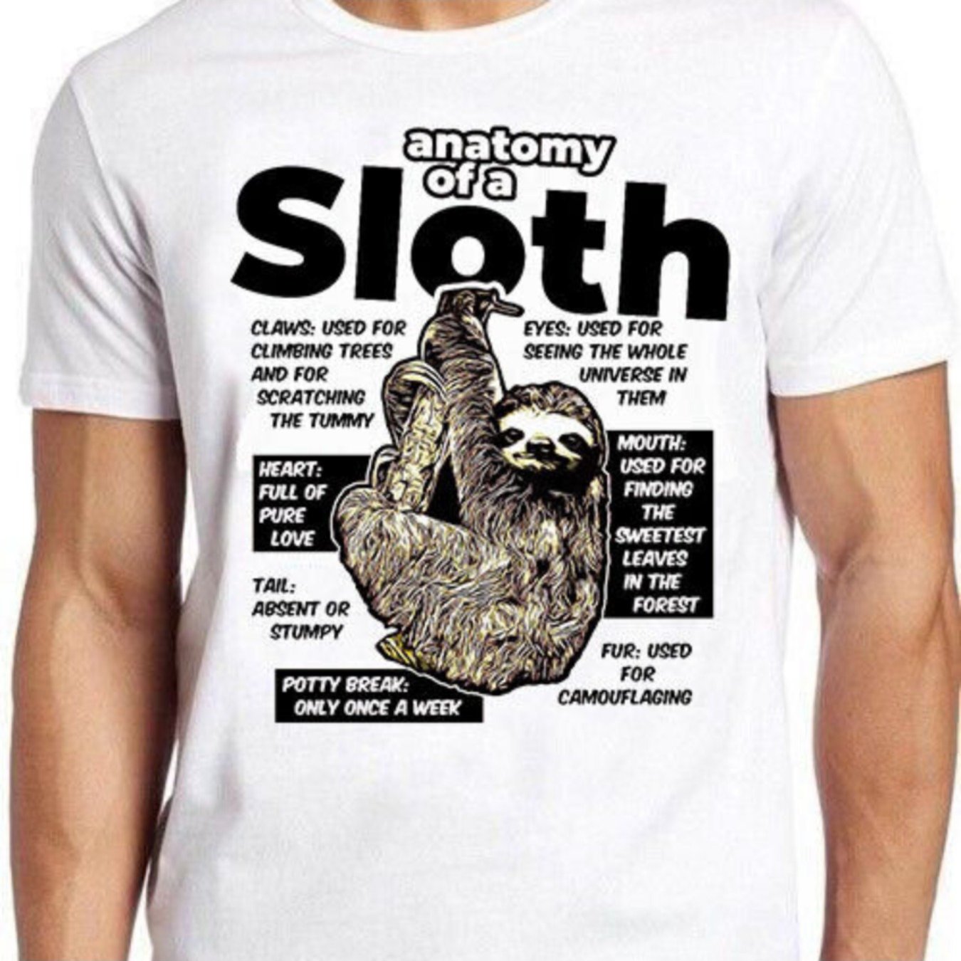 Anatomy Of A Sloth T-Shirt