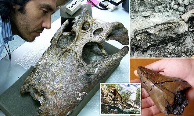 Giant crocodile killed a 175 pounds sloth 13 million years ago