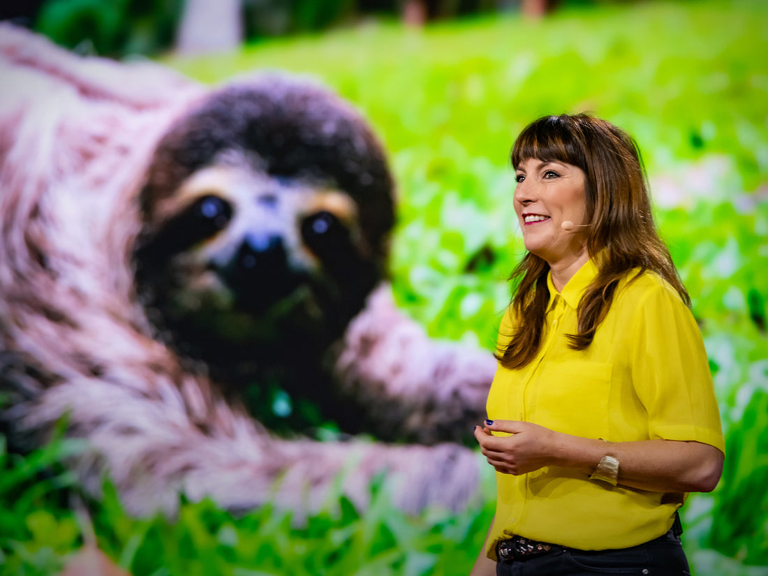 How Did Slowness Become The Sloth's Secret To Survival?
