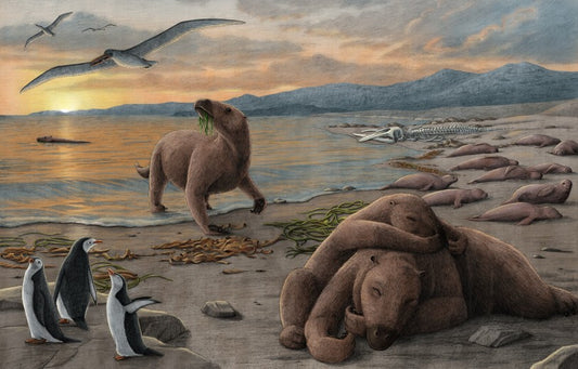 Artist reconstruction of extinct aquatic sloths resting beside the Miocene South Pacific coast