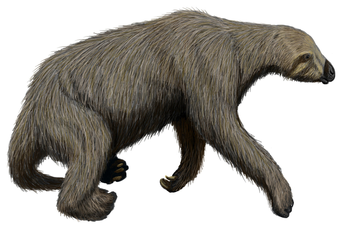 Reconstruction of a Shasta ground sloth walking through a dry Ice Age landscape