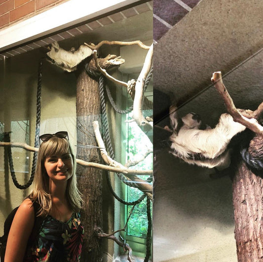 Genome scientist Marcela Uliano da Silva pictured with two-toed sloths at Berlin Zoo