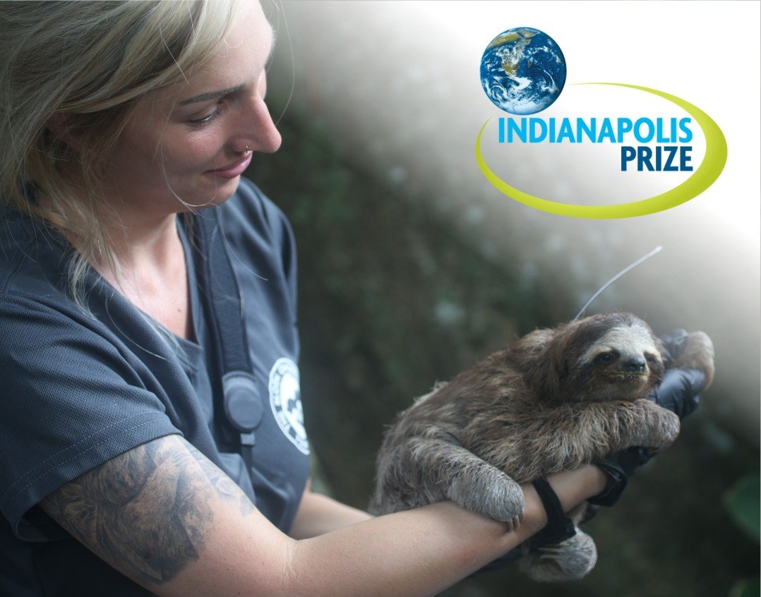 Dr Rebecca Cliffe, founder of The Sloth Conservation Foundation
