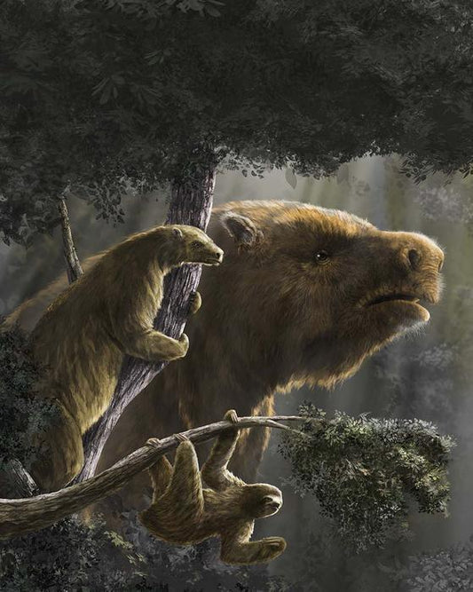 Illustration comparing a giant ground sloth with smaller tree-dwelling sloths in a prehistoric forest