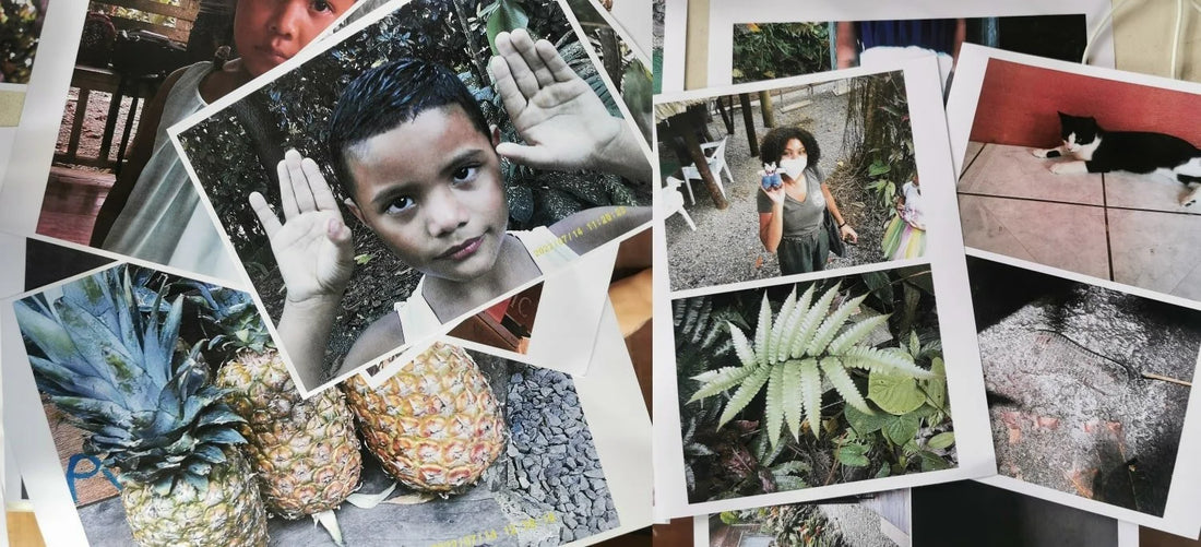 A collage of nature photographs made during a Kukula Kids' Club photography workshop
