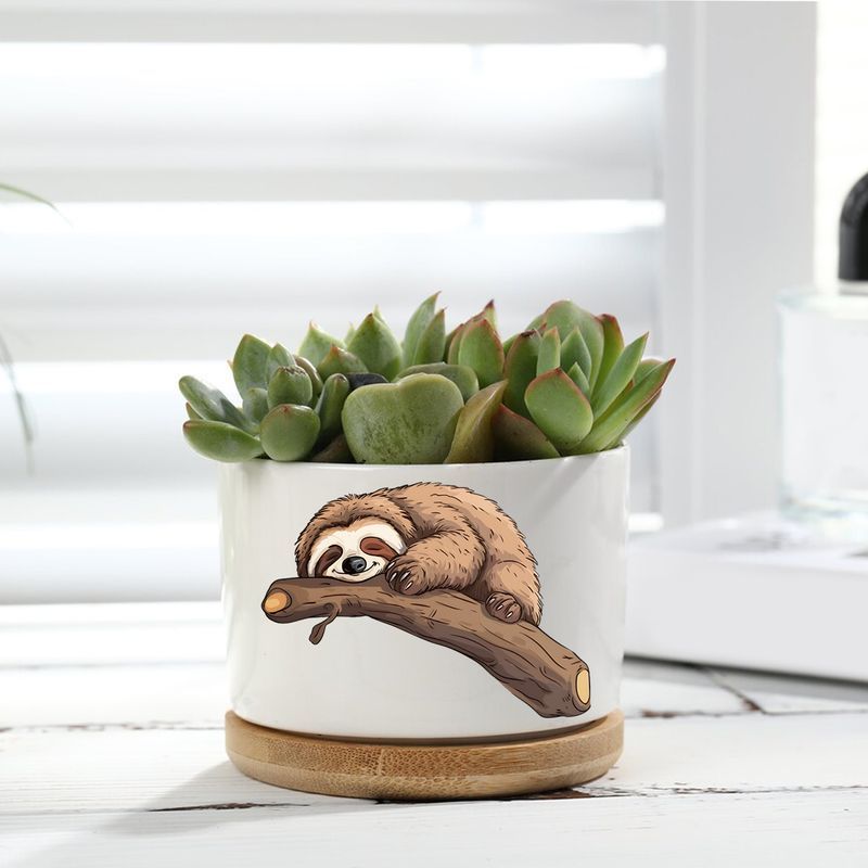 Contemporary Ceramic Sloth Planter Pot with Wooden Base