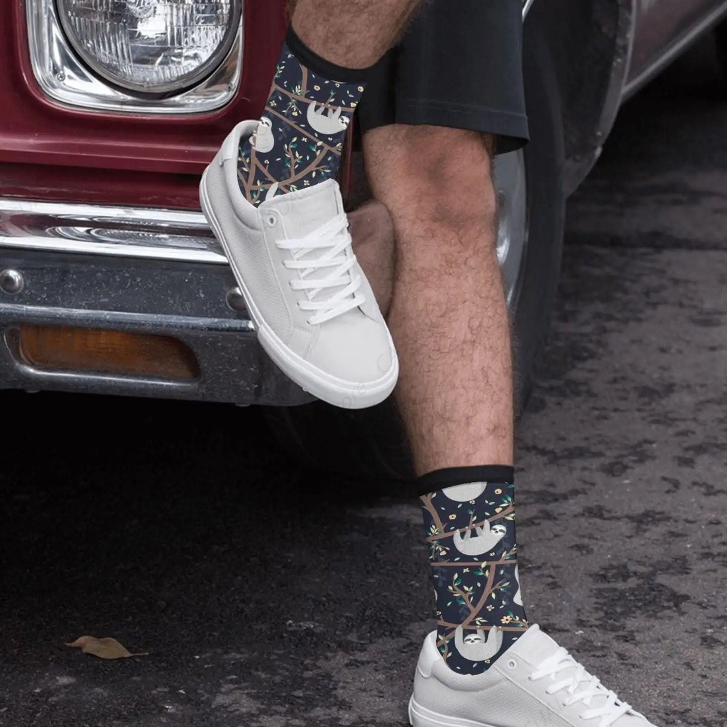 Tree Sloth Socks