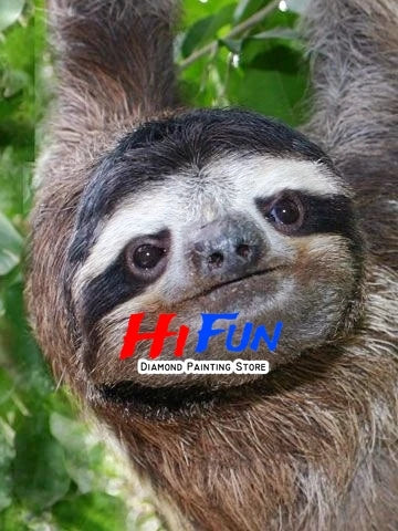 Sloth Diamond Art Kit