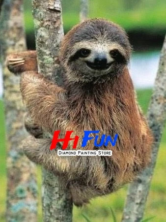 Sloth Diamond Art Kit