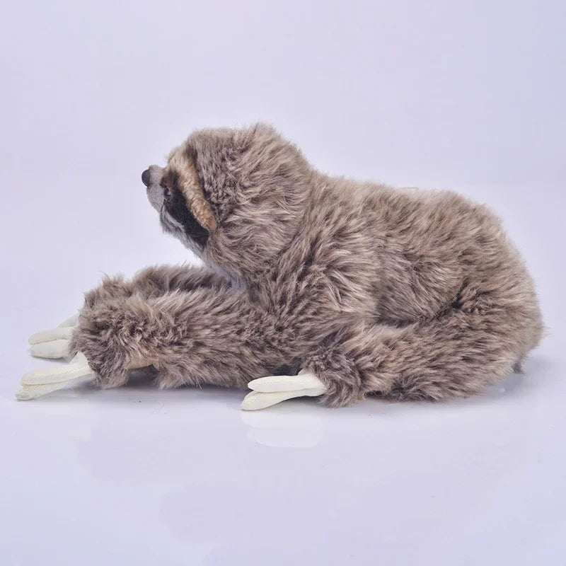 Sloth Plush Toy