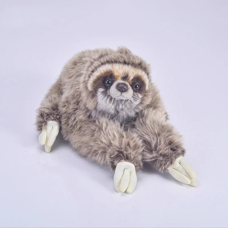 Sloth Plush Toy