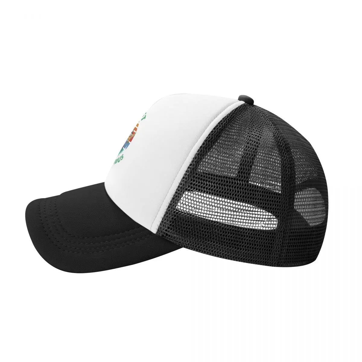 Not Fast Not Furious Baseball Cap