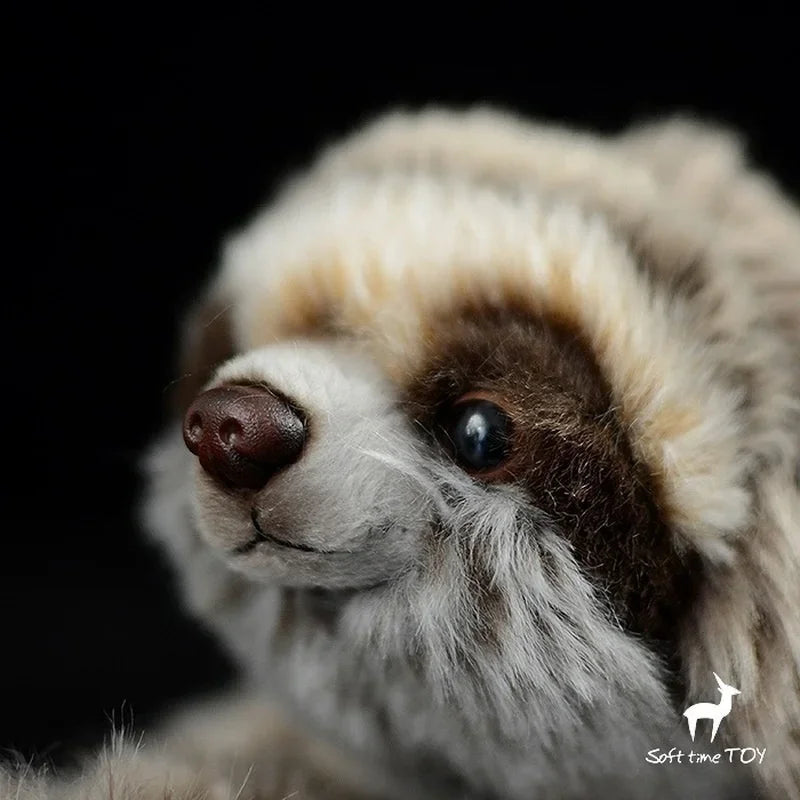 Sloth Plush Toy