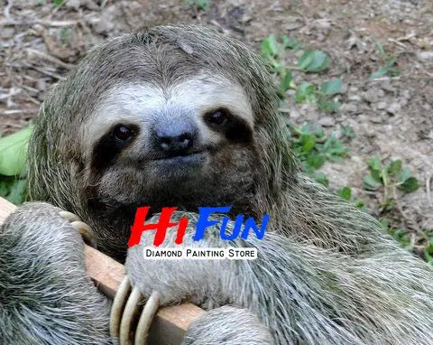 Sloth Diamond Art Kit