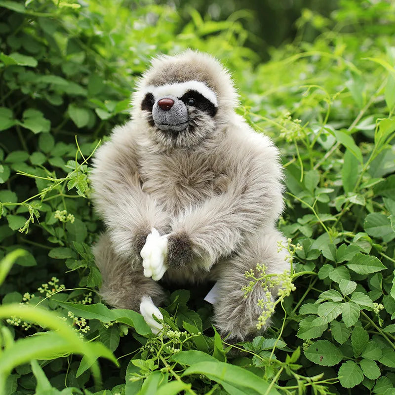 Three Toed Sloth Plush Toy product photo 1