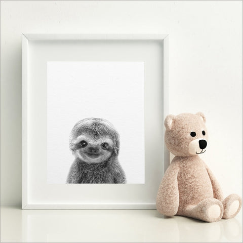 Image of Cute Baby Sloth Poster - Sloth Gift shop