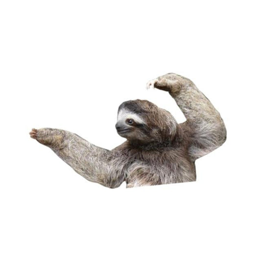 Karate Sloth Sticker - Sloth Gift shop