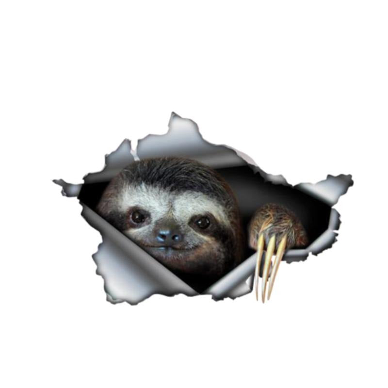 Watching Sloth Sticker - Sloth Gift shop